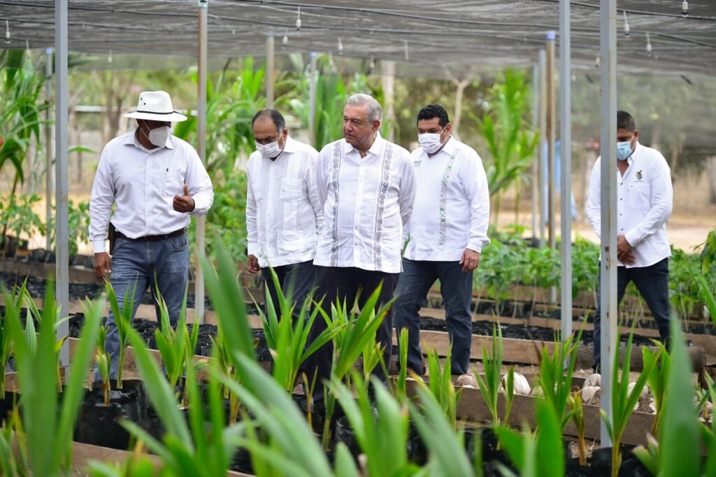 López Obrador viajó de SLP a CDMX en vuelo comercial