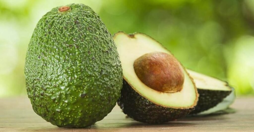 Reanuda EU importación de aguacate mexicano