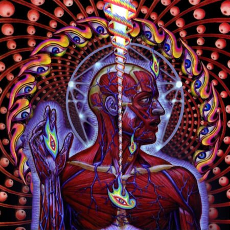 Lateralus, Triad, AEnema, Reflection, Faap The Oaid, Aenima, Die Eier von Satan, Disgustipated, Fear Inoculum, Chancellor, Justin Chancellor, Danny Carey, Maynard, Adam Jones, discografía de Tool, Maynard James Kennan, Tool, 