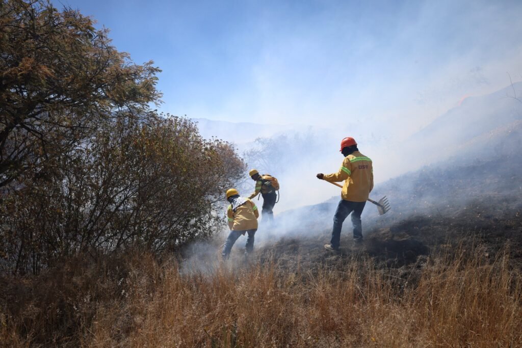 ¡Cuidado! Uso de pirotecnia causa incendios forestales en Oaxaca