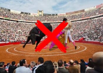 Plaza de Toros declara inviable fiestas taurinas.