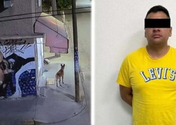 Prisión preventiva a expolicía por asesinar a perro en Ecatepec