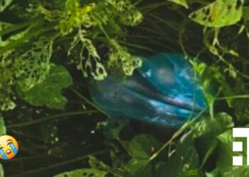 Abandonan a recién nacido en lote baldío de Valle de Chalco.