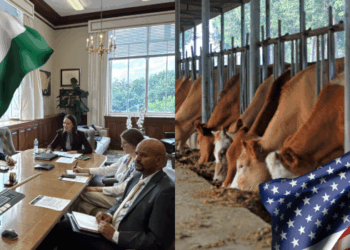 EU anuncia reapertura de la frontera para el ganado mexicano.