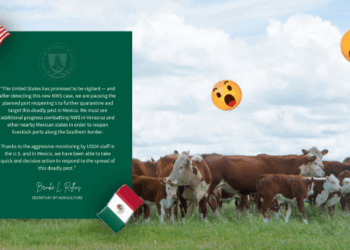 EU anuncia cierre inmediato de fronteras por brote de gusano barrenador.