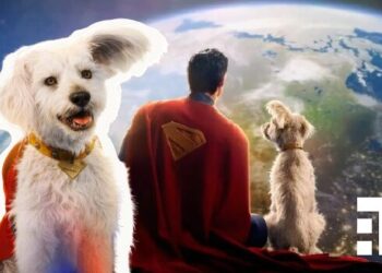 Búsqueda de adopción de perros se dispara un 513% tras estreno de “Superman”.