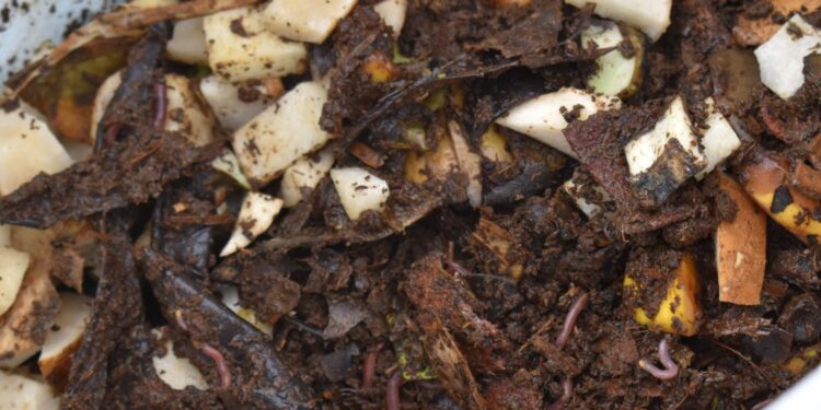 ITESA inicia proyecto lombricomposta a partir de heces caninas