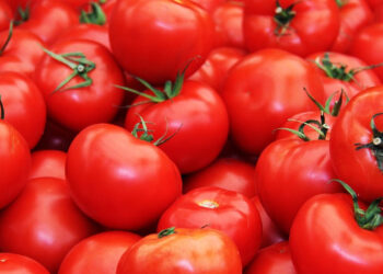 Golpe a productores de jitomate; EU aplica arancel del 17.09 %