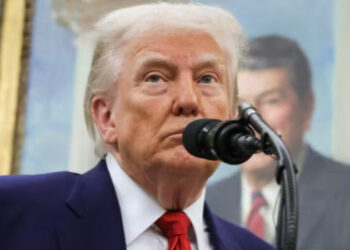 Trump acusa que cárteles tienen "tremendo control" sobre México