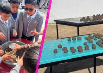 Promueven “Bombas de Vida” para reforestar escuelas y comunidades