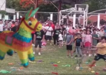 Llenan piñatas con animales silvestres en Campeche (Video).