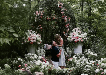 Taylor Swift anuncia su compromiso con Travis Kelce.