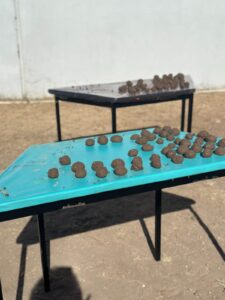 Fortalece SEPH el Campo Formativo Saberes y Pensamiento Científico