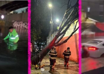Colapsa CDMX; inundaciones, árboles caídos, cortes de energías, caos vial entre otros