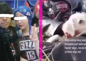 Por crueldad animal contra lomito, detienen a pareja de menores en García, NL