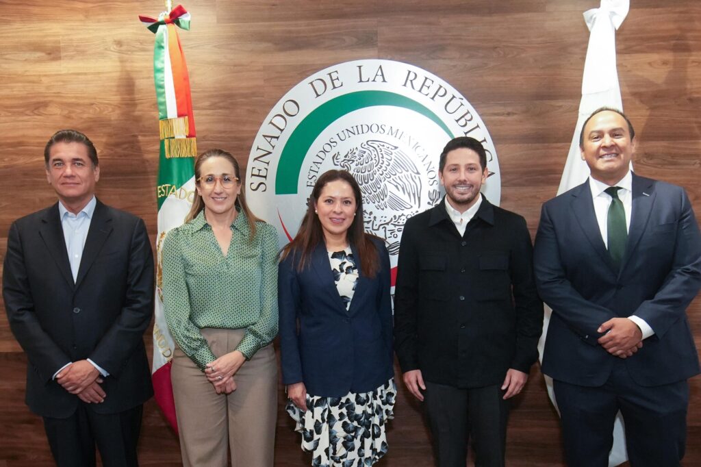 Partido Verde Ecologista celebra la suspensión del cuarto muelle en Cozumel, Quintana Roo