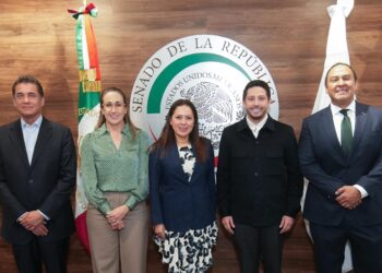 Partido Verde Ecologista celebra la suspensión del cuarto muelle en Cozumel, Quintana Roo