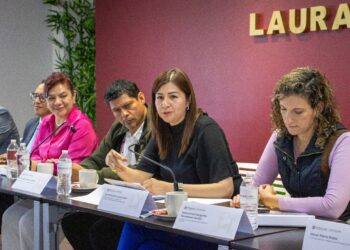 Presentan avances y proyectos estratégicos en sesión del subcomité sectorial de educación