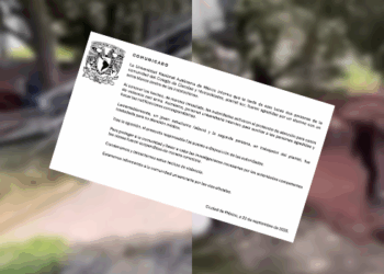 Asesinan a estudiante en CCH Sur; agresor se arrojó de un edificio.