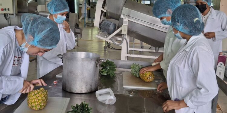 Impulsa UTHH formación práctica en Ingeniería en Alimentos