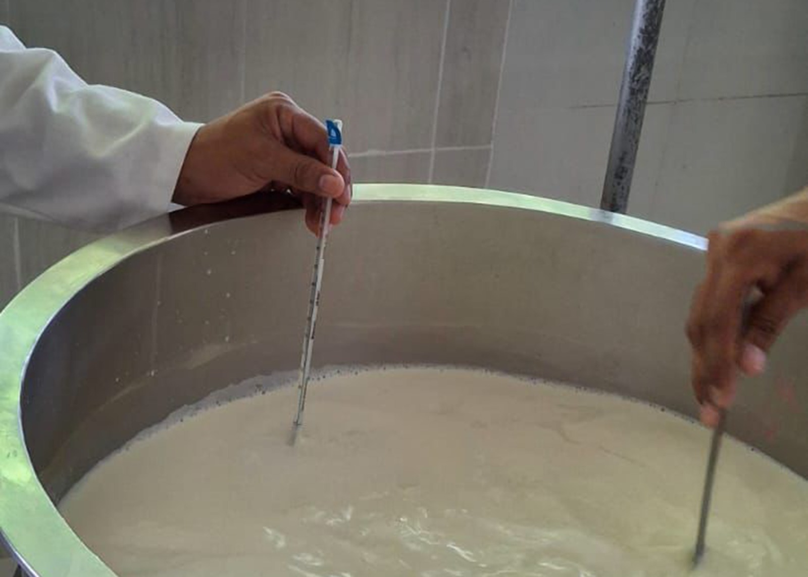 Impulsa UTHH formación práctica en Ingeniería en Alimentos 