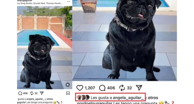 ¡Yo soy el que ladra! Mascota de Pepe Aguilar se disculpa con Emiliano tras polémica foto