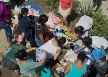 ¡Ayuda a la causa! Conoce los centros de acopio de Hidalgo, Edomex y CDMX.