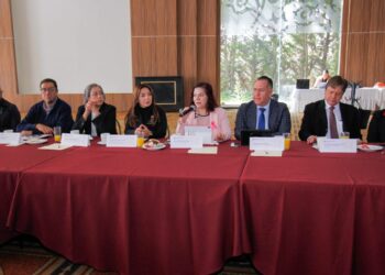 Sesiona Consejo Directivo de Educación Básica