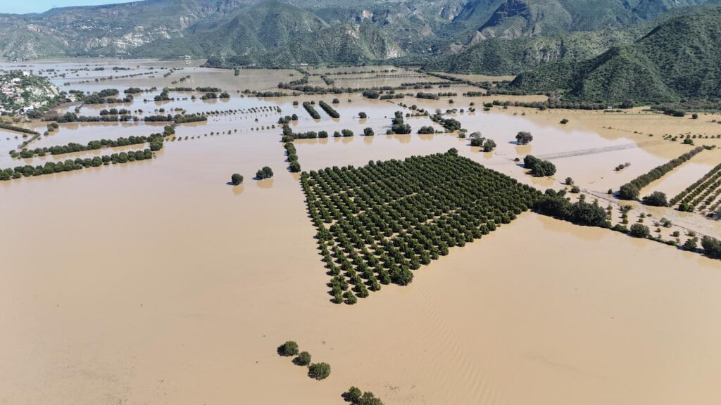 Agricultores de Metztitlán, Hidalgo, sin seguro catastrófico ante pérdida de cultivos