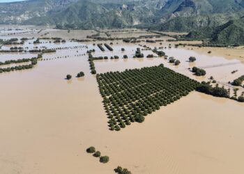 Agricultores de Metztitlán, Hidalgo, sin seguro catastrófico ante pérdida de cultivos