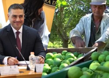 Harfuch visitará Michoacán para atender extorsión a productores de limón