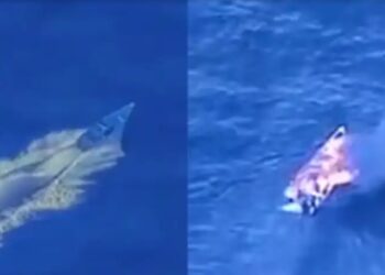 Estados Unidos hunde otra narcolancha cerca de Venezuela, deja 4 muertos