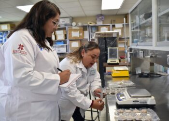 ITESA desarrolla proyecto para proteger a las abejas con alimento a base de tuna