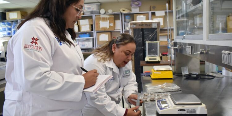 ITESA desarrolla proyecto para proteger a las abejas con alimento a base de tuna