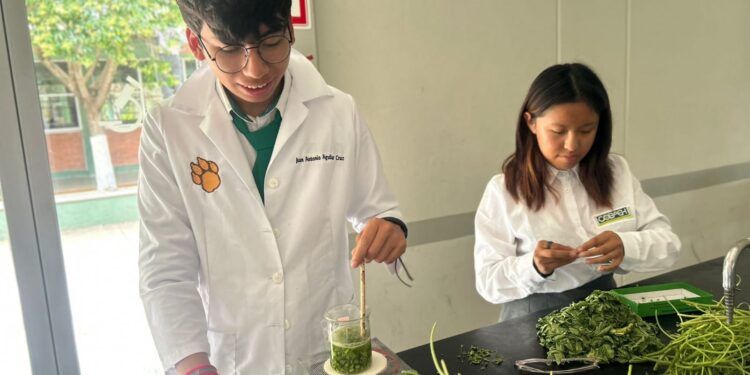 COBAEH Actopan va a Expociencias 2026 en Colombia