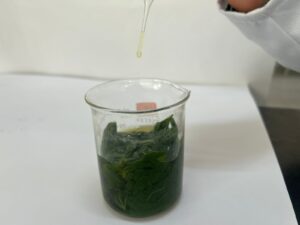 COBAEH Actopan va a Expociencias 2026 en Colombia