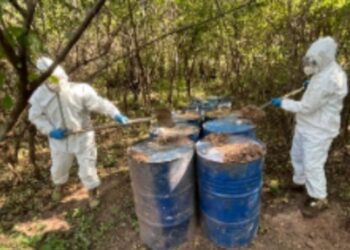 Destruyen narcolaboratorios y aseguran explosivos en Culiacán y Cosalá