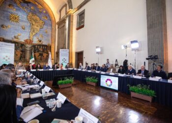 Natividad Castrejón participa en la Reunión Nacional de CONAEDU