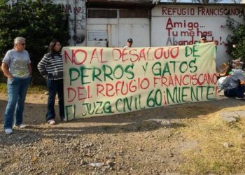 ¡Indignante! Desalojan Refugio Franciscano para Animales en CDMX