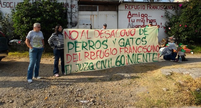 ¡Indignante! Desalojan Refugio Franciscano para Animales en CDMX