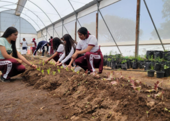 “Guardianes del Bätho-i”: Estudiantes del CECyTEH Huichapan destacan a nivel nacional