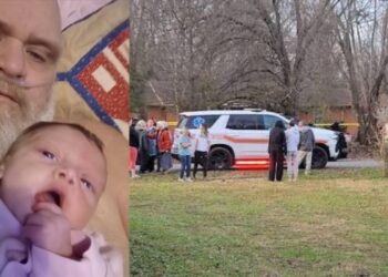 ¡Tragedia! Abuelo y nieta mueren tras ser atacados por 7 pitbulls