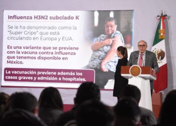 Influenza H3N2 no representa riesgo de pandemia: Ssa