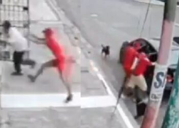 VIDEO muestra cómo lomitos evitan que secuestren a abuelito