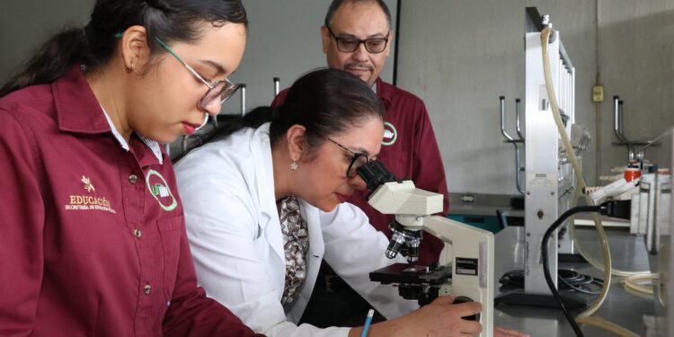 Presentan libro sobre la calidad sanitaria del queso asadero de Huejutla