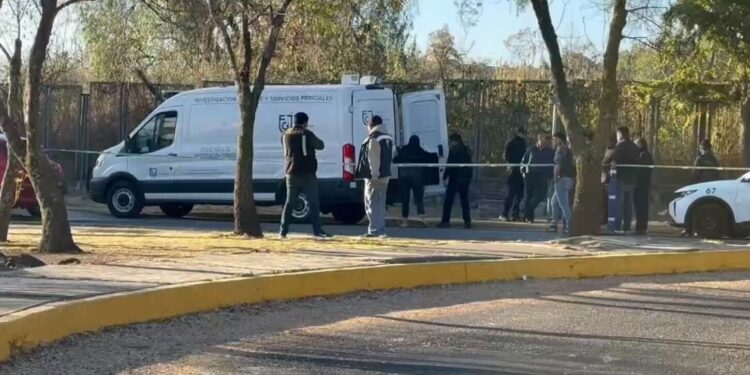 Localizan cuerpo sin vida en Ciudad Universitaria de la UNAM.
