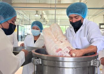 UTHH fortalece la formación práctica en Ingeniería en Procesos Alimentarios