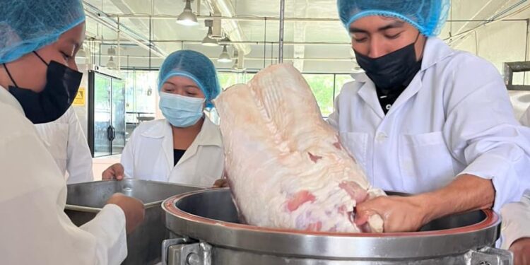 UTHH fortalece la formación práctica en Ingeniería en Procesos Alimentarios