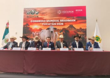 Anuncian Congreso Mundial Brahman 2026 en Mérida, Yucatán