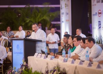 Reforma Electoral fortalece la representación democrática: Díaz Mena